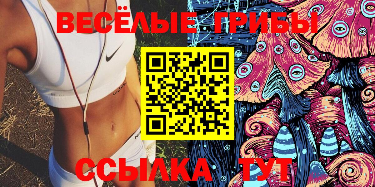 Галлюциногенные грибы GOLDEN TEACHER  Вход с VPN  Азов 